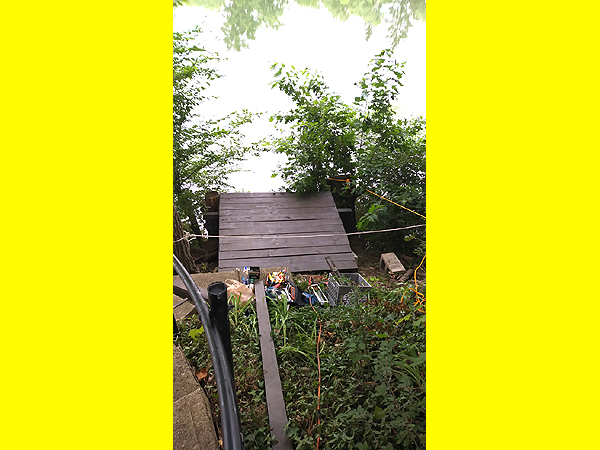 You'd like a deck just above the waterline 25 feet down a steep hill? No problem!